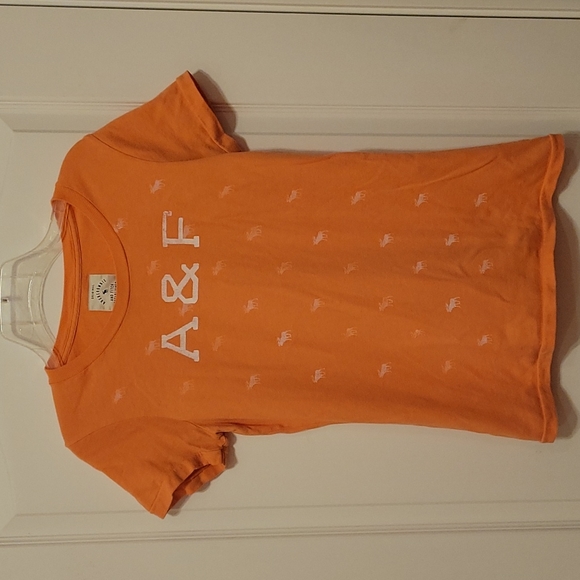 Great Condition Abercrombie & Fitch Distressed, Orange A&F Moose Tee Shirt - Picture 1 of 6